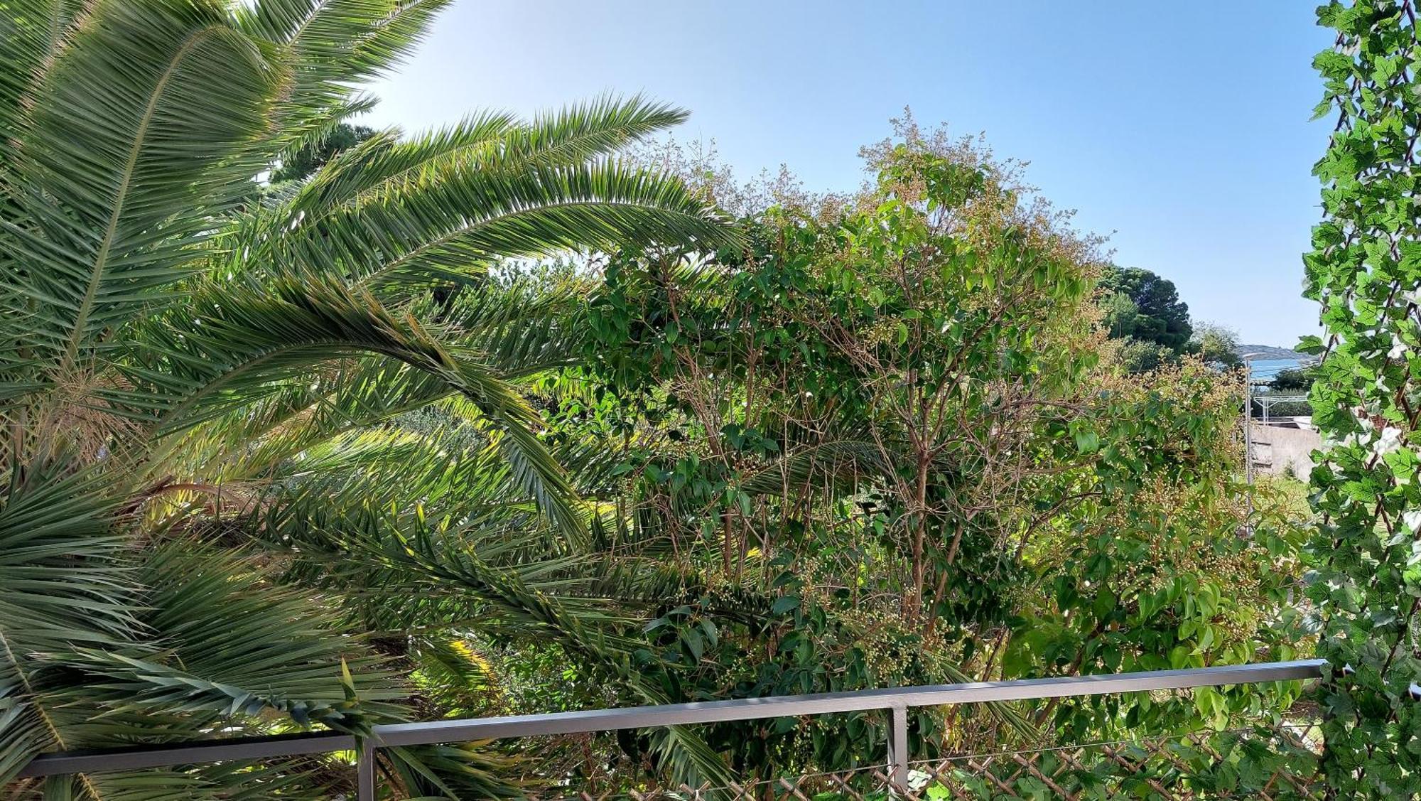 Refresh Boutique Apartments Vodice Rom bilde